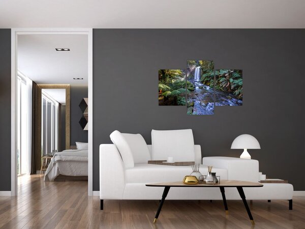 Obraz australského dažďového lesa (90x60 cm)