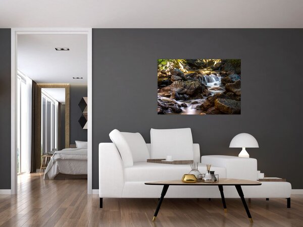 Obraz kamenistého potoku (90x60 cm)