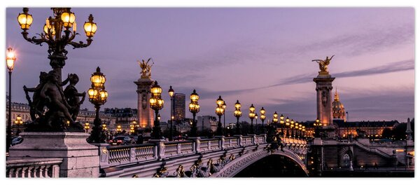 Obraz - Most Alexandra III. v Paríži (120x50 cm)