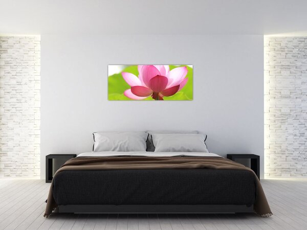 Obraz kvetu Lotusu (120x50 cm)