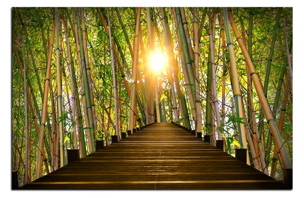 Obraz na plátne - Drevená promenáda v bambusovom lese 1172A (60x40 cm)