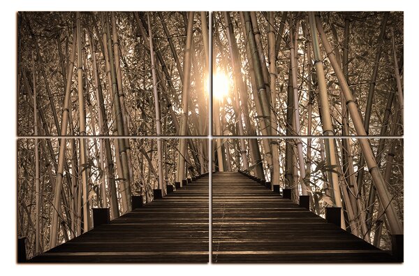 Obraz na plátne - Drevená promenáda v bambusovom lese 1172FE (90x60 cm)