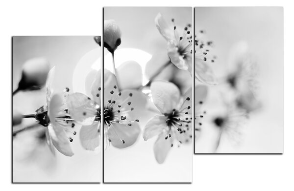 Obraz na plátne - Malé kvety na vetve 1173QD (90x60 cm)