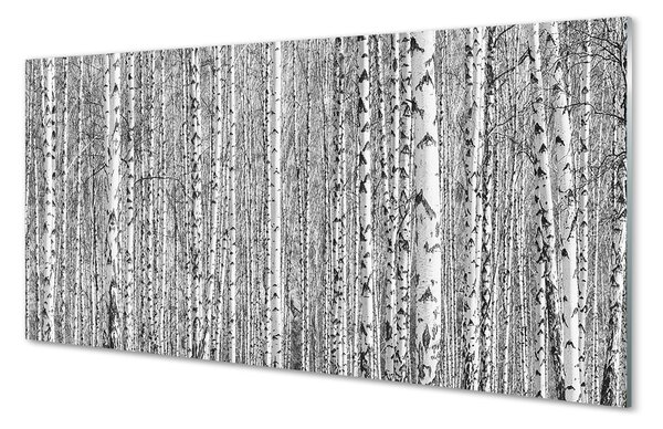 Nástenný panel  Čierna a biela strom les 100x50 cm