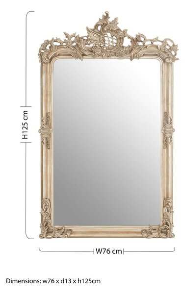 Nástenné zrkadlo 76x125 cm Gilda – Premier Housewares