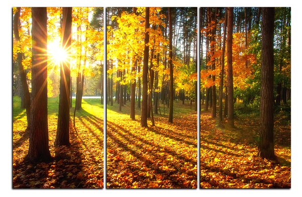 Obraz na plátne - Jesenný les 1176B (90x60 cm )