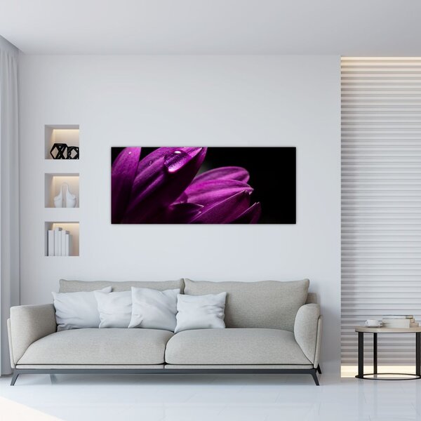 Obraz - Kvapka vody (120x50 cm)