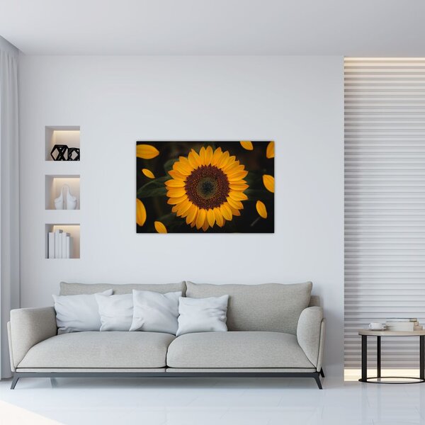 Obraz - Slnečnice a lístky kvetov (90x60 cm)