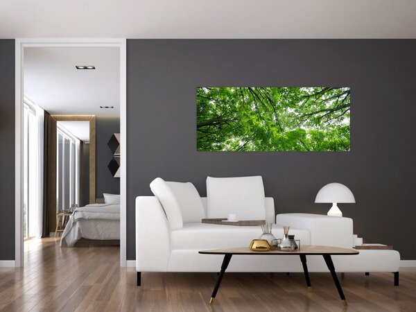 Obraz - Pohľad do korún stromov (120x50 cm)