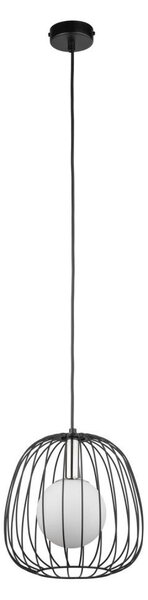 Luster na lanku BELL 1xG9/12W/230V pr. 24 cm čierna/lesklý chróm
