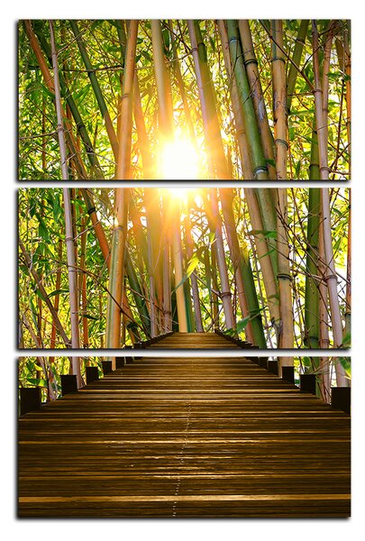 Obraz na plátne - Drevená promenáda v bambusovom lese - obdĺžnik 7172B (90x60 cm )