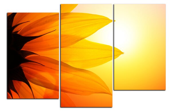 Obraz na plátne - Slnečnica kvet 1201D (90x60 cm)