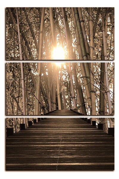 Obraz na plátne - Drevená promenáda v bambusovom lese - obdĺžnik 7172FB (90x60 cm )