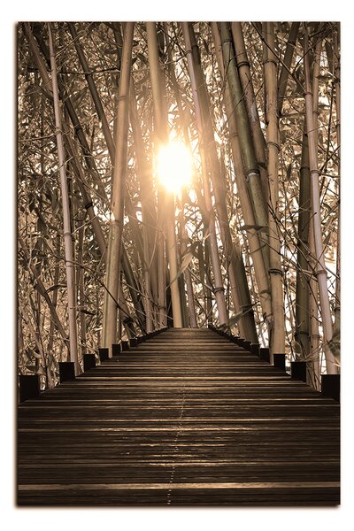 Obraz na plátne - Drevená promenáda v bambusovom lese - obdĺžnik 7172FA (60x40 cm)