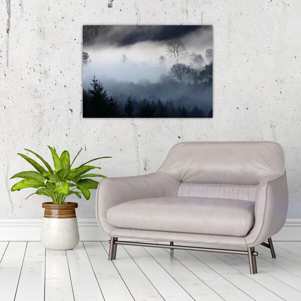 Obraz hmly nad lesom (70x50 cm)