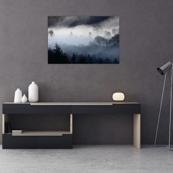 Obraz hmly nad lesom (90x60 cm)