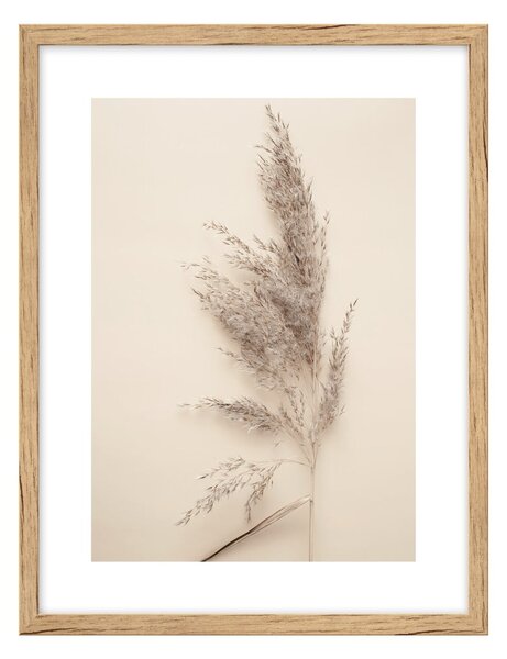 Obraz 30x40 cm Grass – knor