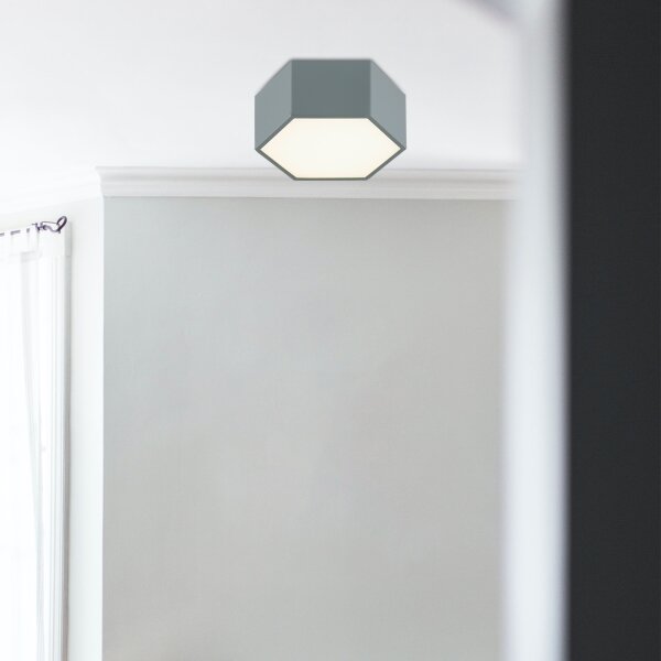 Argon 8784 - LED Stropné svietidlo LIBERO LED/12W/230V 3000K šedá