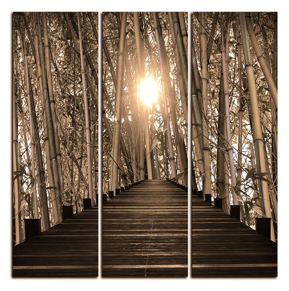 Obraz na plátne - Drevená promenáda v bambusovom lese - štvorec 3172FB (75x75 cm)