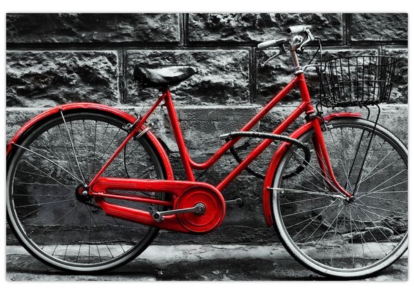 Obraz - Historický bicykel (90x60 cm)