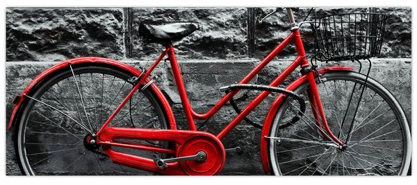 Obraz - Historický bicykel (120x50 cm)