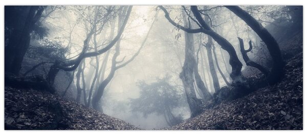 Obraz - Les v hmle (120x50 cm)