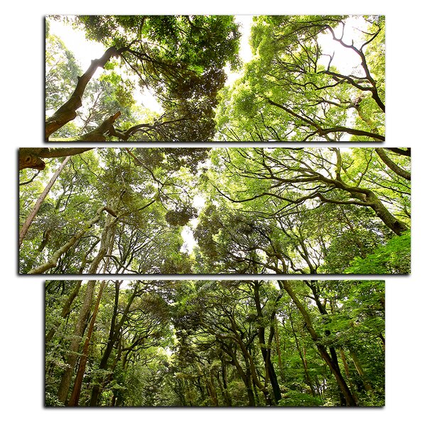 Obraz na plátne - Zelené stromy v lese - štvorec 3194D (75x75 cm)