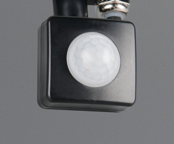 TRIO Reality R23349232 FUNCHAL vonkajšie svietidlo/reflektor so senzorom SMD LED 30W/2800lm 4000K IP44 čierna matná