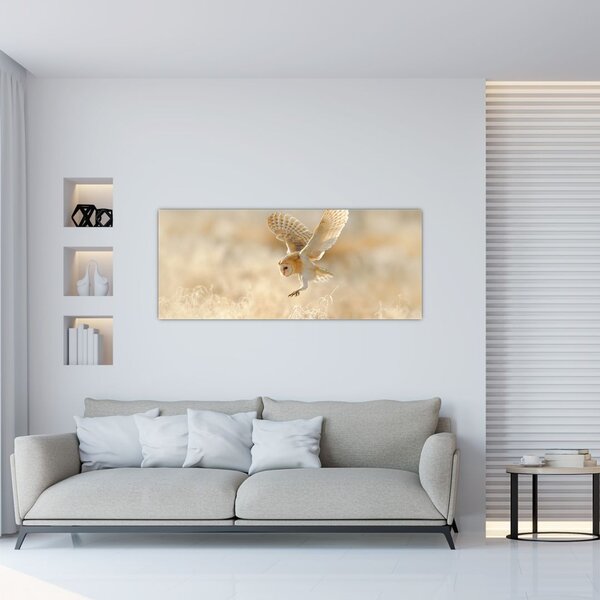 Obraz - Sova pálená (120x50 cm)