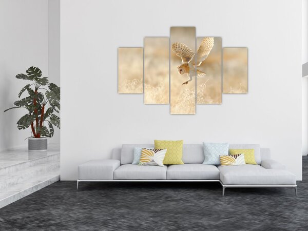 Obraz - Sova pálená (150x105 cm)