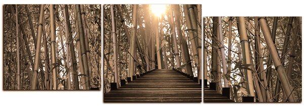 Obraz na plátne - Drevená promenáda v bambusovom lese - panoráma 5172FE (90x30 cm)
