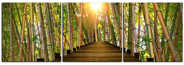 Obraz na plátne - Drevená promenáda v bambusovom lese - panoráma 5172B (90x30 cm)