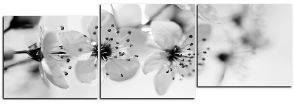Obraz na plátne - Malé kvety na vetve - panoráma 5173QE (90x30 cm)