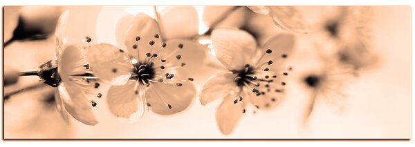 Obraz na plátne - Malé kvety na vetve - panoráma 5173FA (105x35 cm)