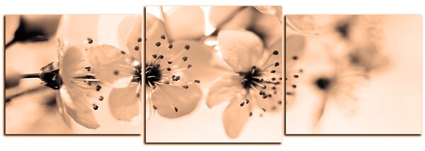 Obraz na plátne - Malé kvety na vetve - panoráma 5173FD (90x30 cm)