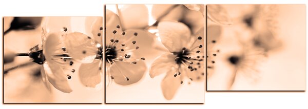 Obraz na plátne - Malé kvety na vetve - panoráma 5173FE (90x30 cm)