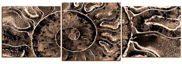 Obraz na plátne - Textúra fosílie - panoráma 5174FD (90x30 cm)
