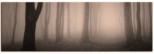 Obraz na plátne - Hmla v lese - panoráma 5182FA (105x35 cm)