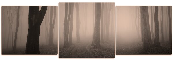 Obraz na plátne - Hmla v lese - panoráma 5182FD (90x30 cm)