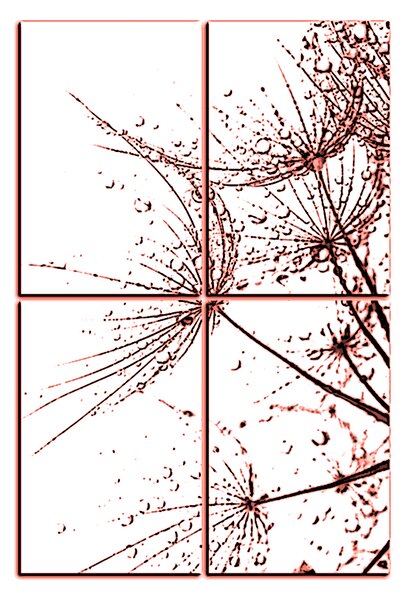 Obraz na plátne - Pampeliškové semienka s kvapkami vody - obdĺžnik 7202KE (90x60 cm)