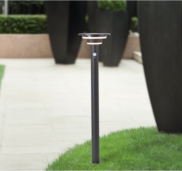 Brilliant - LED Solárna lampa so senzorom GARVINA LED/3W/3,7V 85 cm IP44 čierna