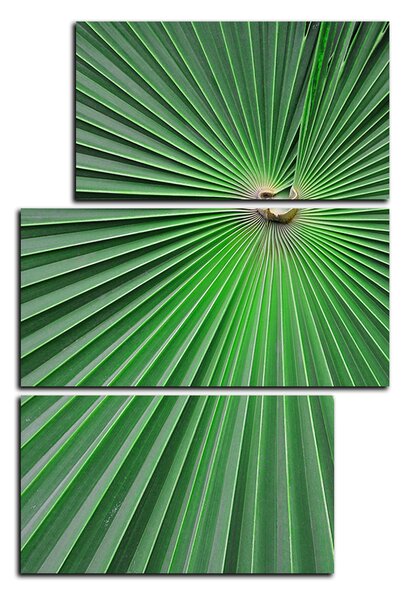 Obraz na plátne - Tropické listy - obdĺžnik 7205D (90x60 cm)