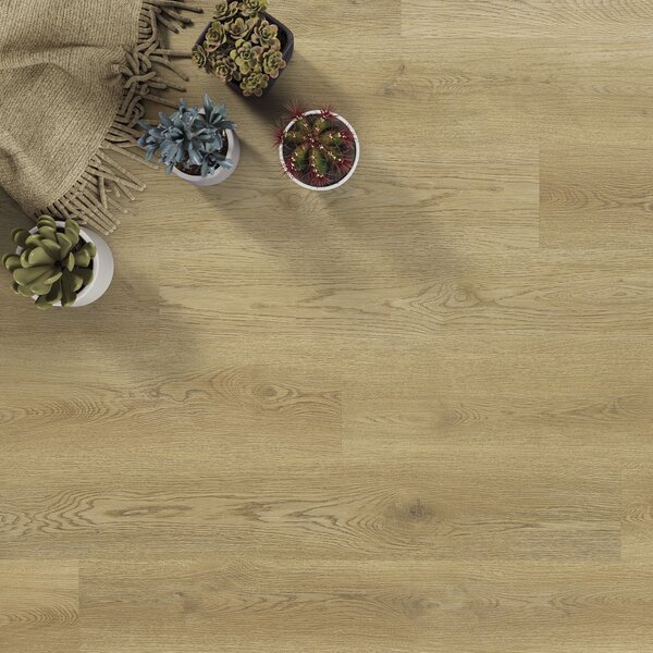 Afirmax BiClick Floor Dub Noble CBC 42432 2,20 m²
