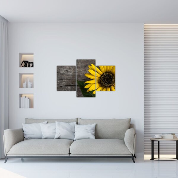 Obraz - Kvet slnečnice (90x60 cm)