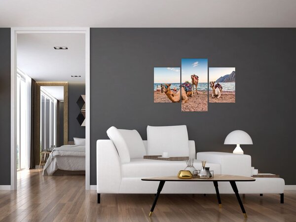 Obraz tiav (90x60 cm)