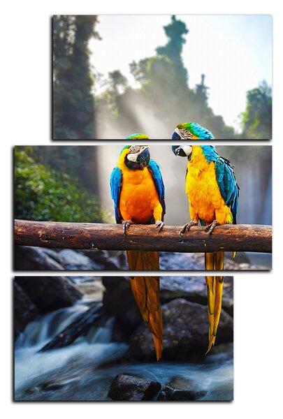 Obraz na plátne - Modro žlté Macaw - obdĺžnik 7232D (90x60 cm)