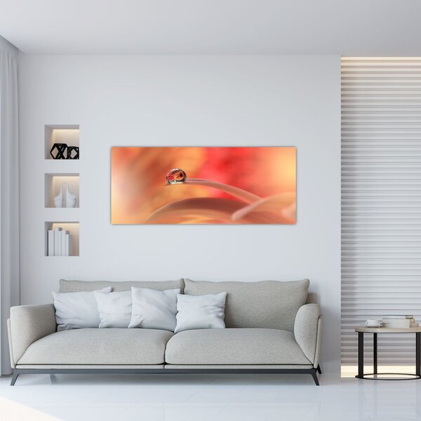 Obraz kvetinové kvapky rosy (120x50 cm)
