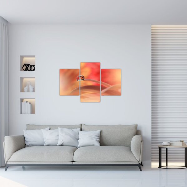 Obraz kvetinové kvapky rosy (90x60 cm)