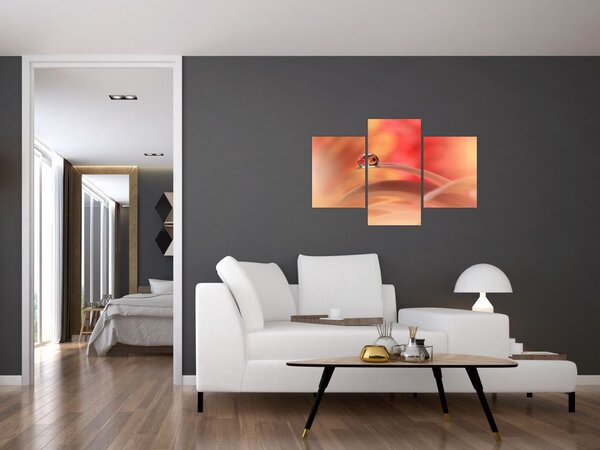 Obraz kvetinové kvapky rosy (90x60 cm)