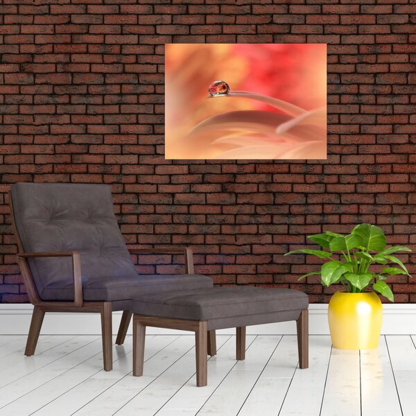 Obraz kvetinové kvapky rosy (70x50 cm)
